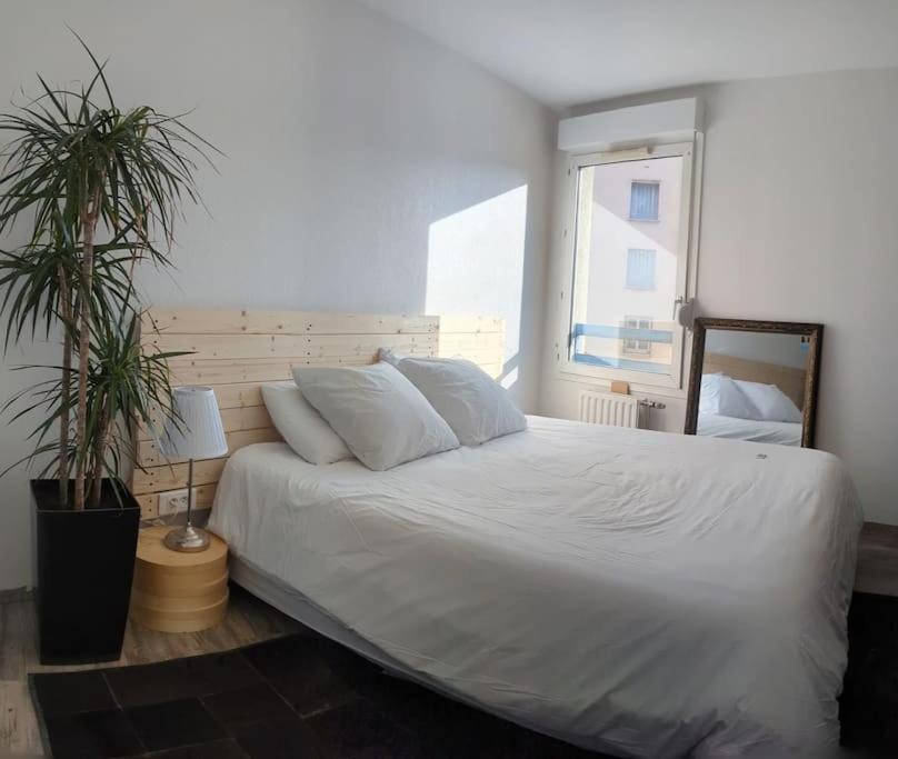 Le Cosy-Chic - T3 Balneo A Villeurbanne / Lyon 外观 照片